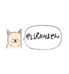 柴犬の業務連絡（個別スタンプ：4）