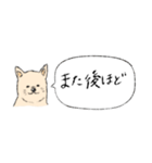 柴犬の業務連絡（個別スタンプ：9）