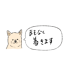 柴犬の業務連絡（個別スタンプ：14）