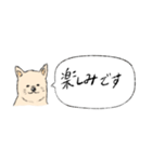 柴犬の業務連絡（個別スタンプ：18）