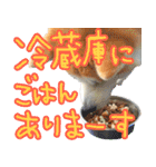 秋田犬の太郎2（個別スタンプ：40）