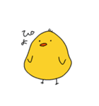 ゆるいぴよちゃん（個別スタンプ：1）