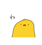 ゆるいぴよちゃん（個別スタンプ：5）