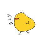 ゆるいぴよちゃん（個別スタンプ：6）