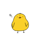 ゆるいぴよちゃん（個別スタンプ：11）