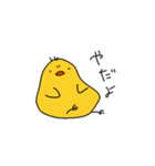 ゆるいぴよちゃん（個別スタンプ：20）