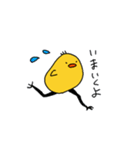 ゆるいぴよちゃん（個別スタンプ：25）