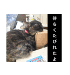 犬と猫のつぶやき2（個別スタンプ：7）