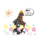 ナナ太郎 1（個別スタンプ：5）
