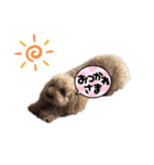ナナ太郎 1（個別スタンプ：7）