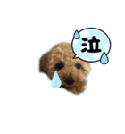 ナナ太郎 1（個別スタンプ：8）