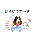 ENGLISHSPRINGERSPANIEL WOODSJr. 3（個別スタンプ：9）
