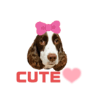ENGLISHSPRINGERSPANIEL WOODSJr. 3（個別スタンプ：23）