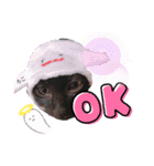 オセロ族（個別スタンプ：9）