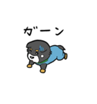 黒柴の太陽くん（個別スタンプ：12）