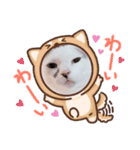 アイドルゴマ（個別スタンプ：3）
