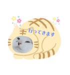 アイドルゴマ（個別スタンプ：7）