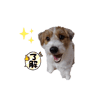 元気なてっちや❤️（個別スタンプ：3）