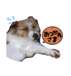 元気なてっちや❤️（個別スタンプ：4）