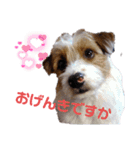 元気なてっちや❤️（個別スタンプ：6）