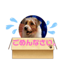 元気なてっちや❤️（個別スタンプ：10）