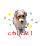元気なてっちや❤️（個別スタンプ：11）