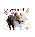 愛犬リンといちとお友達のゆるゆるスタンプ（個別スタンプ：5）