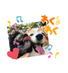 愛犬リンといちとお友達のゆるゆるスタンプ（個別スタンプ：16）