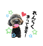 愛犬リンといちとお友達のゆるゆるスタンプ（個別スタンプ：19）