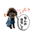 愛犬リンといちとお友達のゆるゆるスタンプ（個別スタンプ：22）