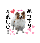 愛犬リンといちとお友達のゆるゆるスタンプ（個別スタンプ：27）