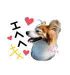 愛犬リンといちとお友達のゆるゆるスタンプ（個別スタンプ：29）