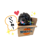 愛犬リンといちとお友達のゆるゆるスタンプ（個別スタンプ：30）