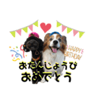 愛犬リンといちとお友達のゆるゆるスタンプ（個別スタンプ：33）