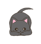 ゴロゴロ子猫（個別スタンプ：7）