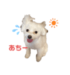 ココくんの日常（個別スタンプ：4）