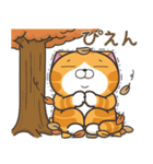 ランラン猫 20 (日本語)（個別スタンプ：4）