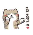 ランラン猫 20 (日本語)（個別スタンプ：10）