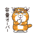 ランラン猫 20 (日本語)（個別スタンプ：29）