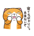 ランラン猫 20 (日本語)（個別スタンプ：34）