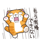 ランラン猫 20 (日本語)（個別スタンプ：38）