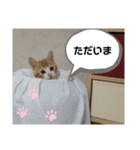 NEWちっくんスタンプ（個別スタンプ：4）