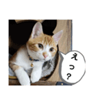 NEWちっくんスタンプ（個別スタンプ：13）