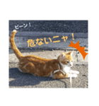 NEWちっくんスタンプ（個別スタンプ：14）
