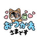 いぬとも＆ねことも☆うちの⑤にゃんこ④（個別スタンプ：3）