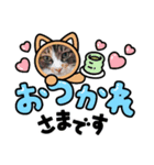 いぬとも＆ねことも☆うちの⑤にゃんこ④（個別スタンプ：10）