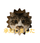 ねこちゃんスタンプ4（個別スタンプ：18）