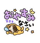 ねこちゃんスタンプ4（個別スタンプ：25）