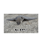 へはエイ（個別スタンプ：1）