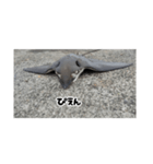 へはエイ（個別スタンプ：9）